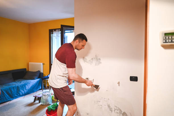Best Mold Cleaning Services  in Farmerville, LA